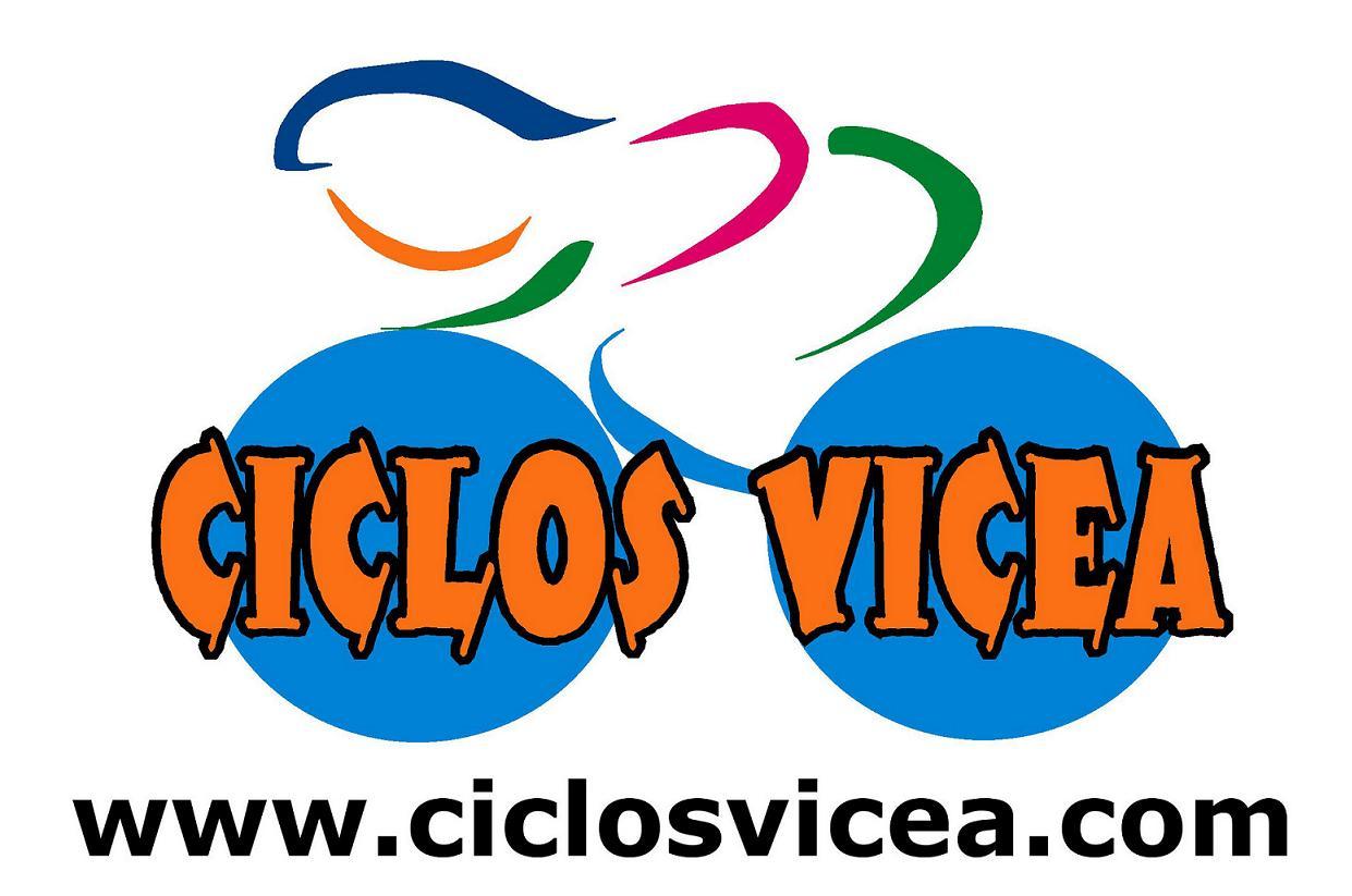 www.ciclosvicea.com